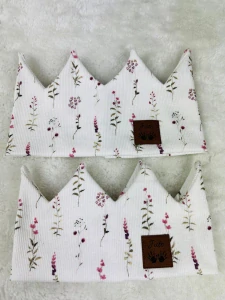 Korunka žebrovaná- Luční květy
